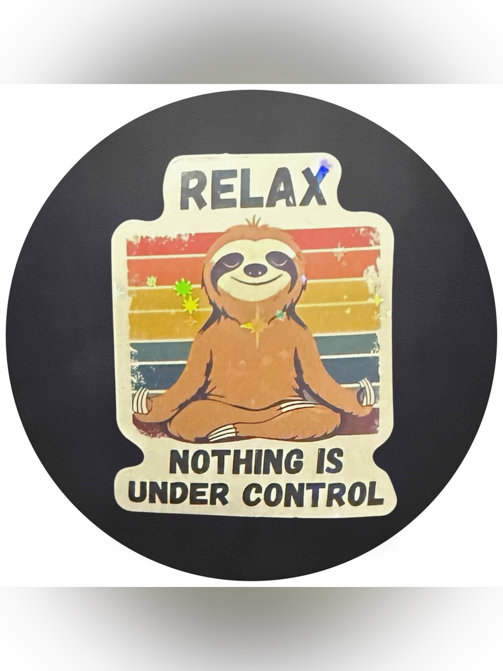 5 for $5 RELAX NOTHING IS UNDER CONTROL Vinyl Holographic Sticker